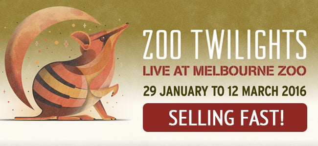 It's A Record Selling Year For Melbourne Zoo Twilights, And Tickets Are Going, Going, GONE!