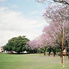 Perth - Wellington Square